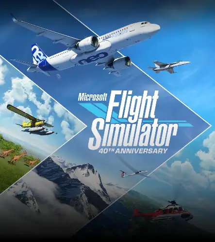 Flight Simulator X